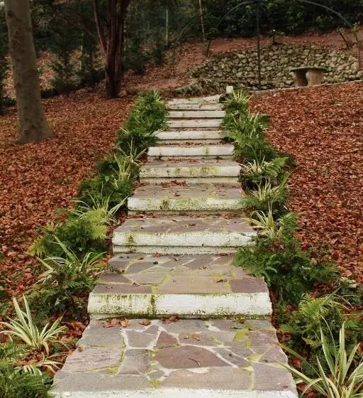 Aamiaismajoitus (B&B) Villa Jasmine