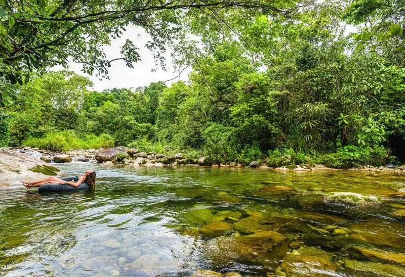 Hotelli Cedro Amazon Lodge