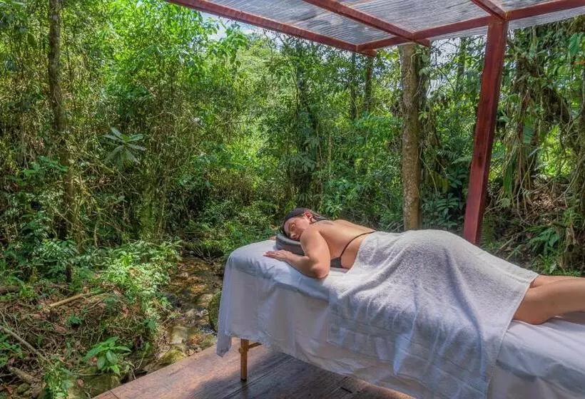 Hotelli Cedro Amazon Lodge