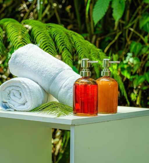 호텔 Cedro Amazon Lodge