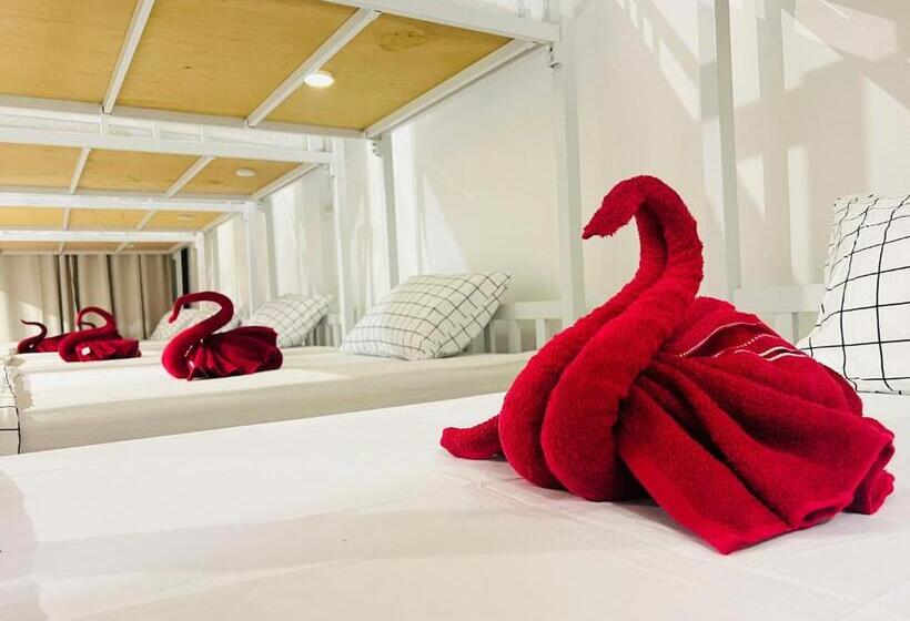 Jasper Phangan Hostel