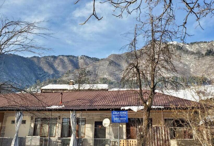 پانسیون Guesthouse Giorgi Avaliani