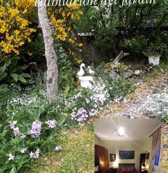 Pension Habitación Del Jardín