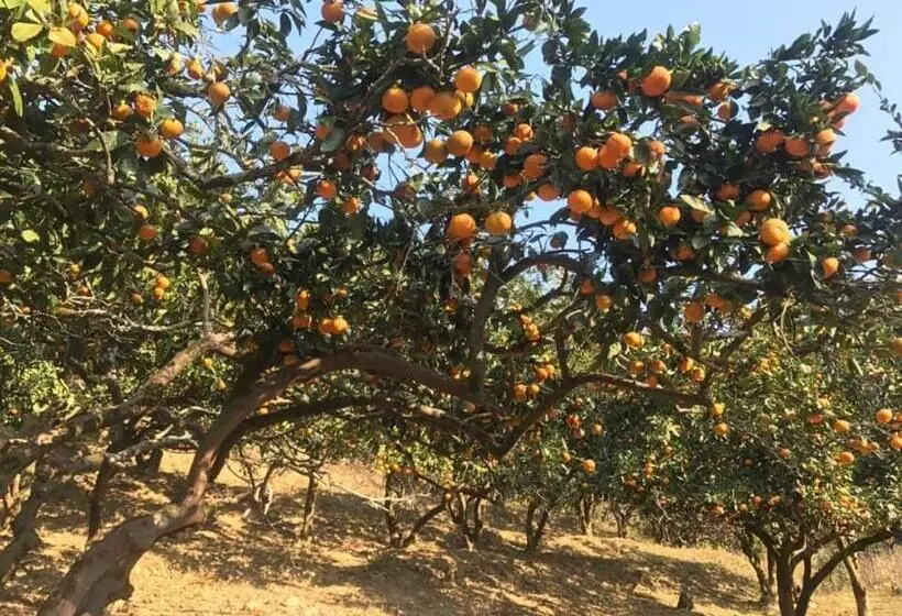 پانسیون Home Inn Samegrelo