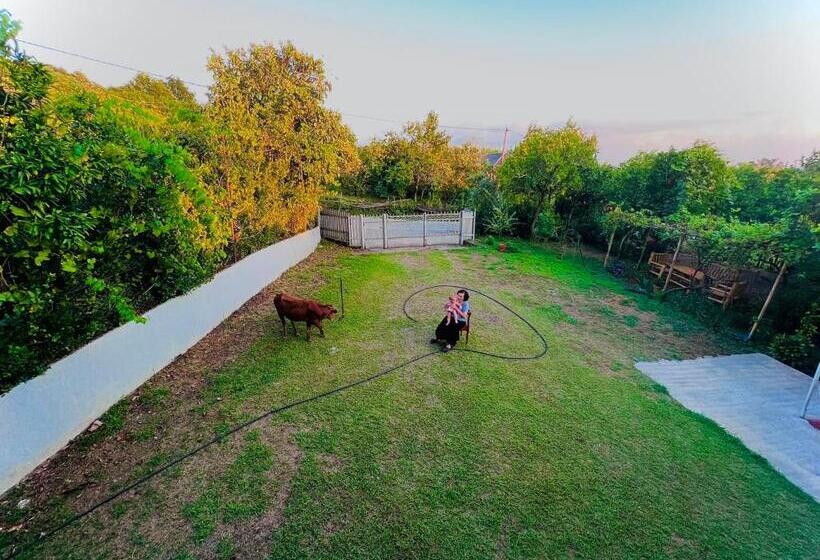 پانسیون Home Inn Samegrelo