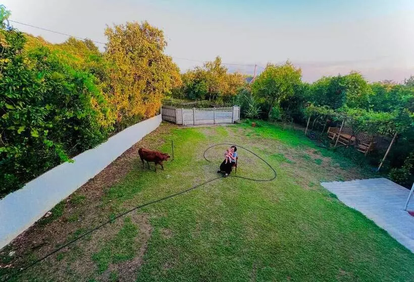 پانسیون Home Inn Samegrelo