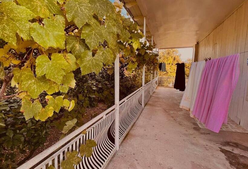 پانسیون Home Inn Samegrelo