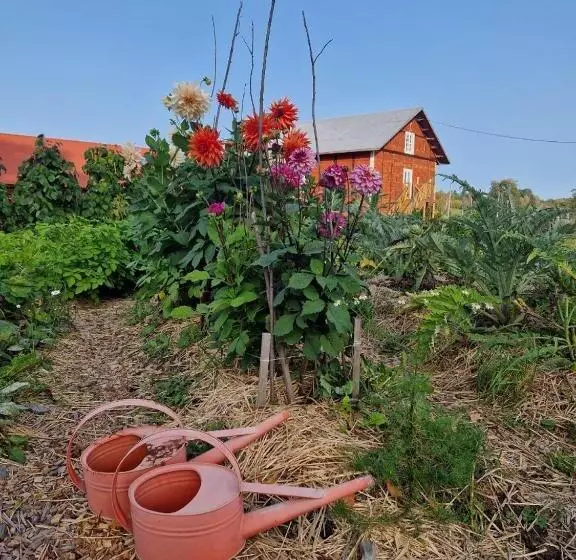 Aamiaismajoitus (B&B) Långbro Gård I Mölnbo
