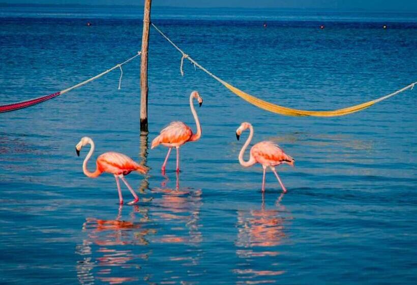 膳宿费 Casa Blue Habitación Orca