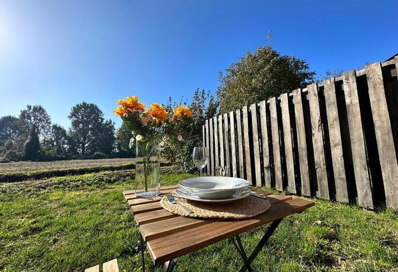 ベッドアンドブレックファースト Canovetta Country House Camelia Nearby Cremona