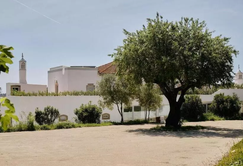 ベッドアンドブレックファースト Solar Do Bisavô