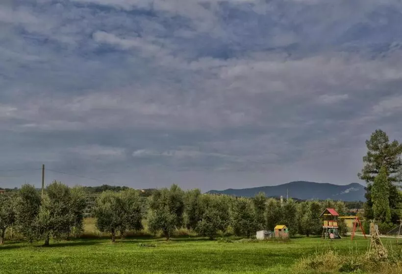 ホテル Agriturismo Le Orchidee Di Corazza