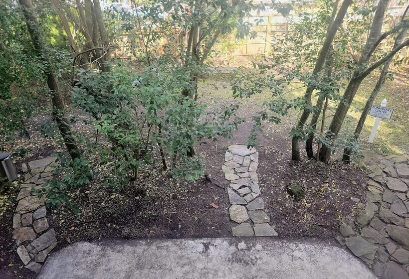 ホテル Beaufort Harbour Suites And Lodges