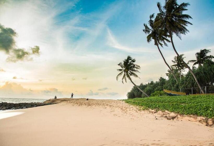 بنسيون Hanka Villa  Ambalangoda