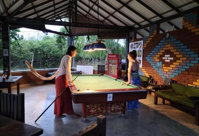 Yala Ying Yang Hostel & Camping