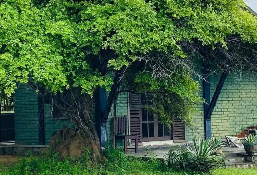 Yala Ying Yang Hostel & Camping