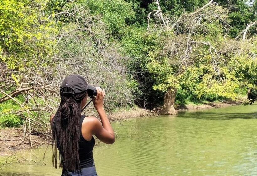 Yala Ying Yang Hostel & Camping