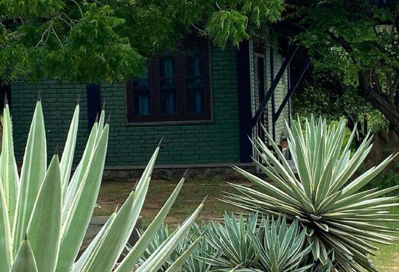 Yala Ying Yang Hostel & Camping