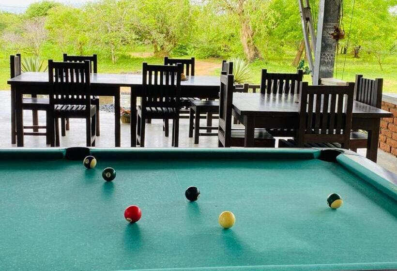 Yala Ying Yang Hostel & Camping