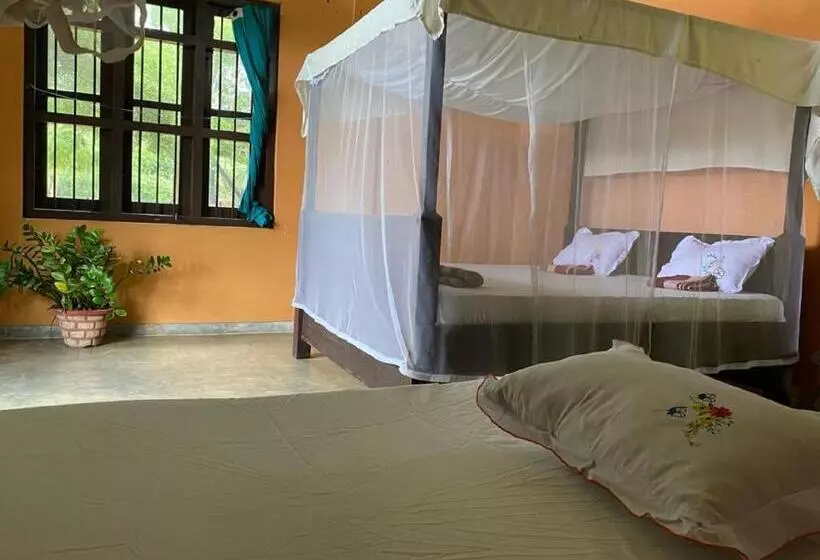 Yala Ying Yang Hostel & Camping