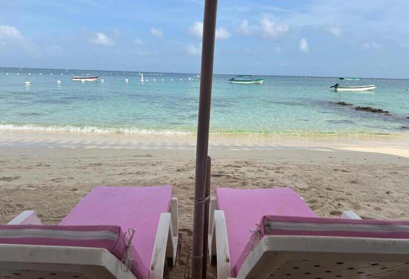 هاستل Acapulcobeach