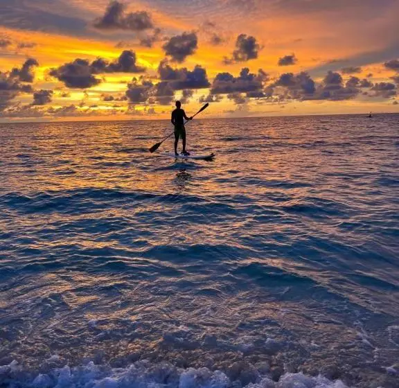 ユースホステル Acapulcobeach