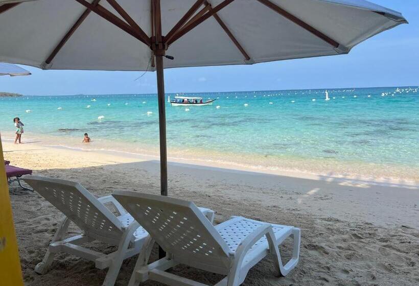 هاستل Acapulcobeach