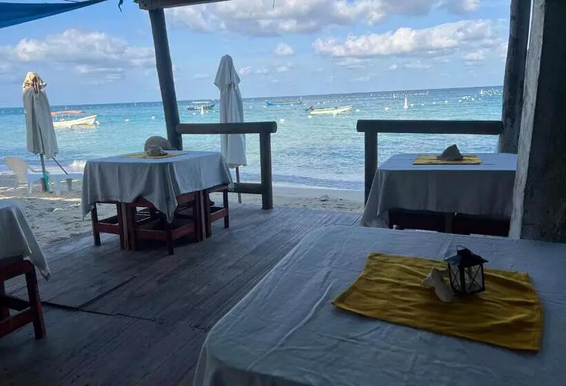 ユースホステル Acapulcobeach