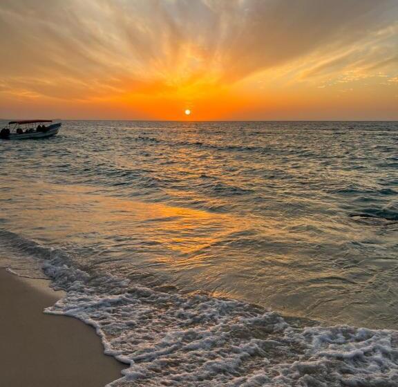 هاستل Acapulcobeach