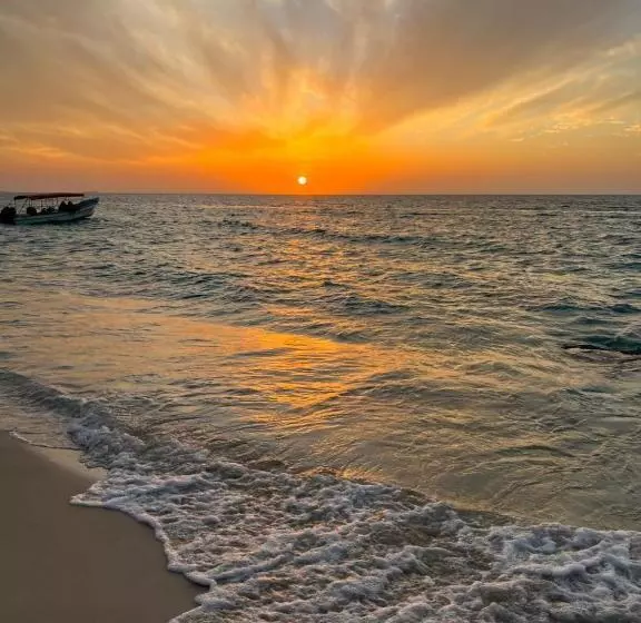 ユースホステル Acapulcobeach