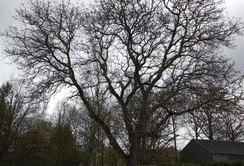 ベッドアンドブレックファースト Le Vieux Noyer