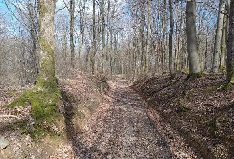 ベッドアンドブレックファースト Le Vieux Noyer