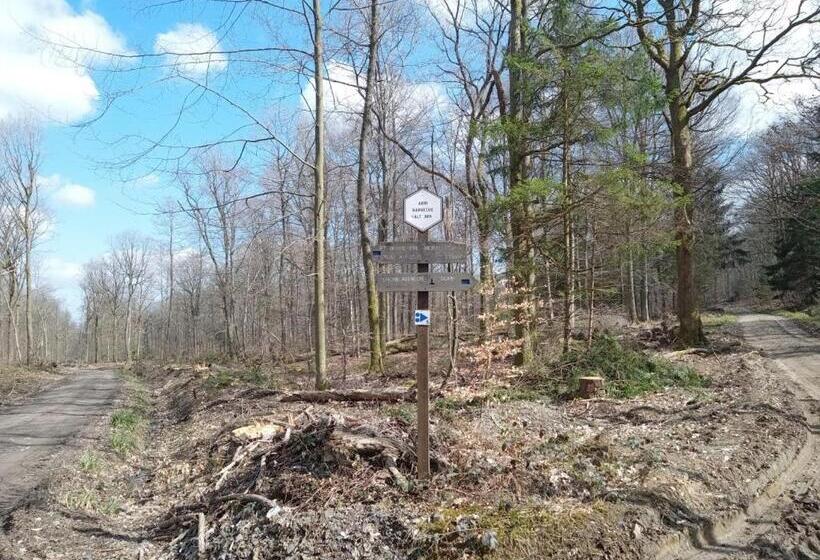 تختخواب و صبحانه Le Vieux Noyer