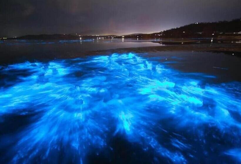 호텔 Boutique Vacation Rental Complex At Beach