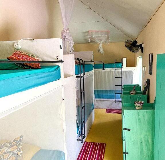 Lazy Monkey Surfhostel   Sri Lanka