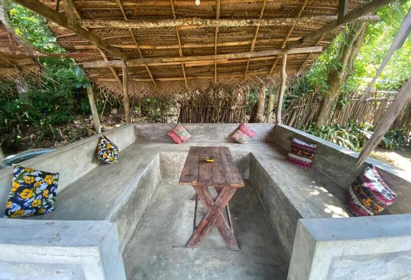 Lazy Monkey Surfhostel   Sri Lanka