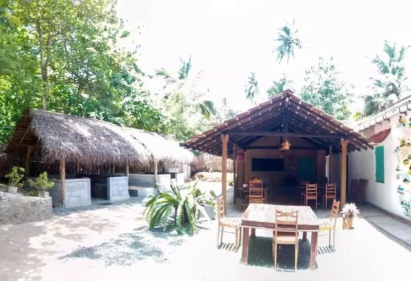 Lazy Monkey Surfhostel   Sri Lanka