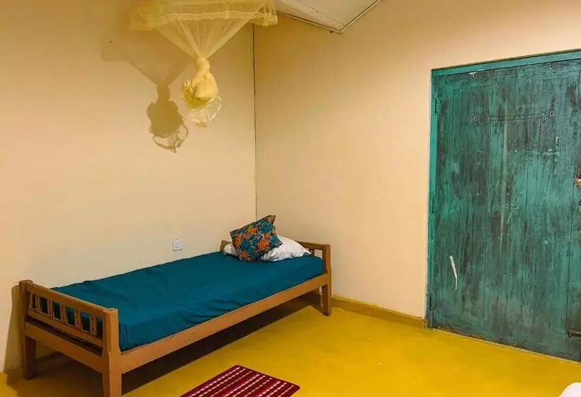 Lazy Monkey Surfhostel   Sri Lanka