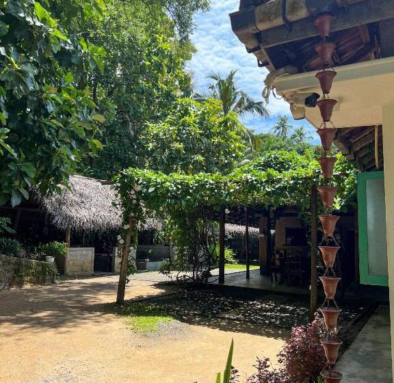 Lazy Monkey Surfhostel   Sri Lanka