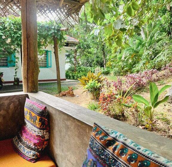 Lazy Monkey Surfhostel   Sri Lanka