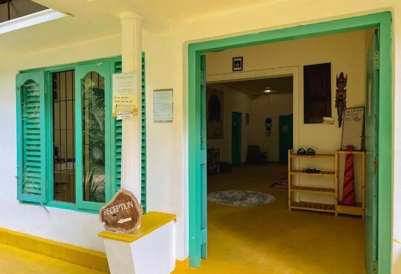 Lazy Monkey Surfhostel   Sri Lanka