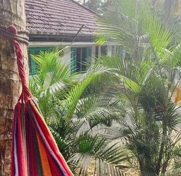 Lazy Monkey Surfhostel   Sri Lanka