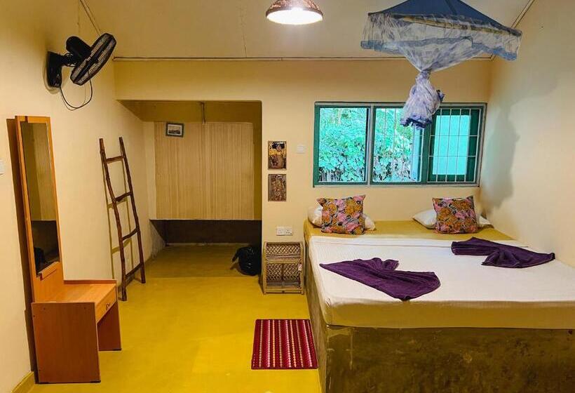 Lazy Monkey Surfhostel   Sri Lanka