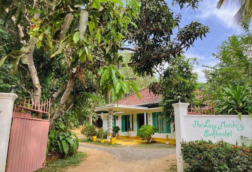 Lazy Monkey Surfhostel   Sri Lanka
