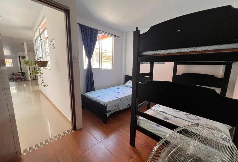 پانسیون Epifania Hostel