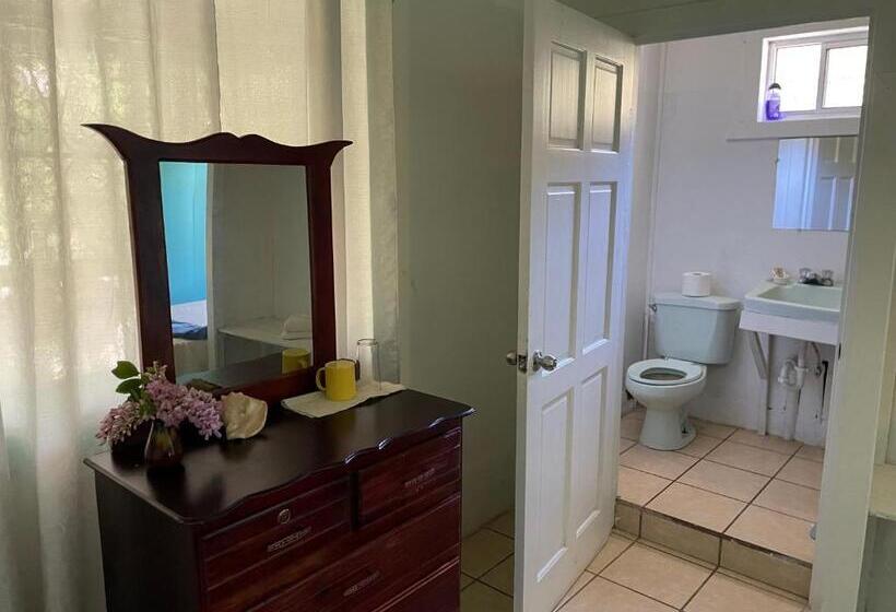 هاستل No Regrets