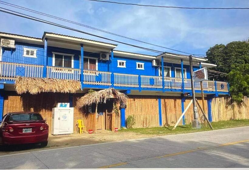 هاستل No Regrets