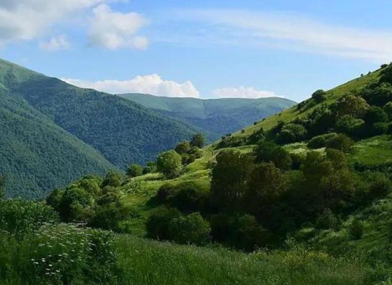 Holiday Dream Hotel Dilijan