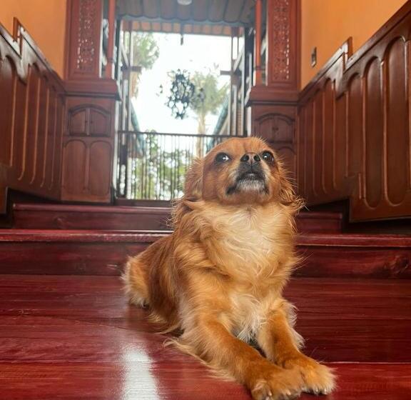 בית מלון כפרי San Miguel De Salento