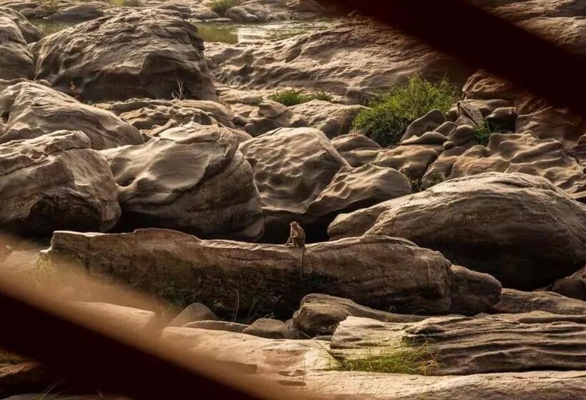 ホテル Leo Woods Hampi River View